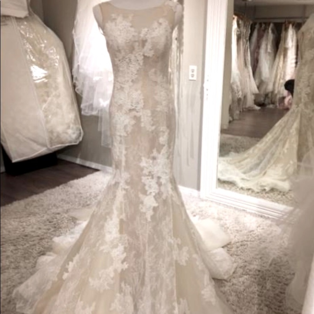 Gorgeous Pronovias Tanit Wedding Gown.